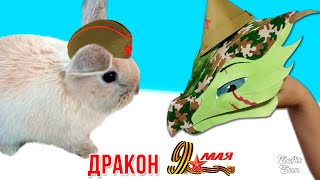 картинка: Делаем с Куки. Дракон 9 мая - День Победы из бумаги на руку. DIY Sofit Sun