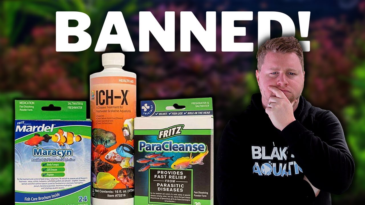 Alternatives to the Aquarium Co-Op Med Trio - Commonly Available Treatments to Use Instead