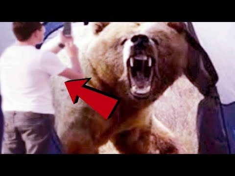 Bear Attacks a man in Russia, Luckily a bus driver came along to save him!!!