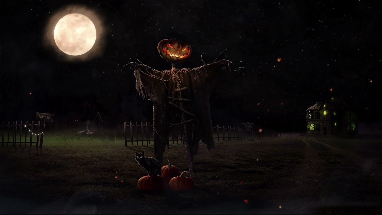 The Haunted Scarecrow 🎃 — Halloween Ambience & Sound - YouTube