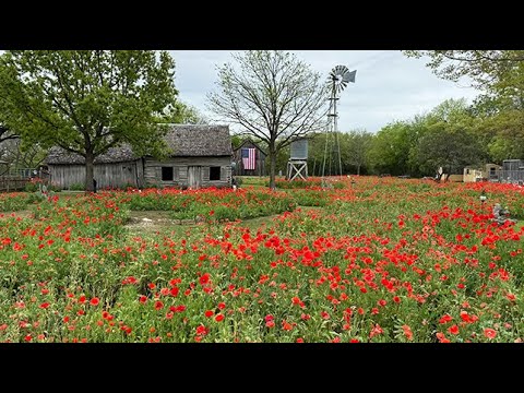 The Texas Bucket List - The Poppy House in Castroville