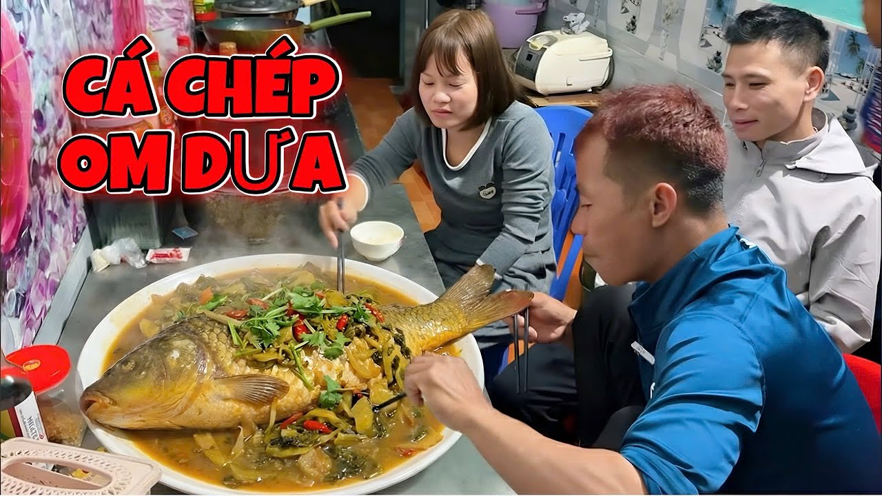 PHC/ Cá Chép On Dưa Cho Hiếu Ruồi Thưởng Thức#phc #teamphd.