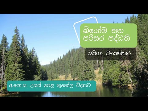 බියෝම සහ පරිසර පද්ධති | ටයිගා වනාන්තර | taiga wananthara | biyomaya | biome Advanced Level Geography