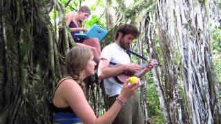 John Craigie and Shook Twins sing "So Many Lives" from a banyan tree on Maui chords