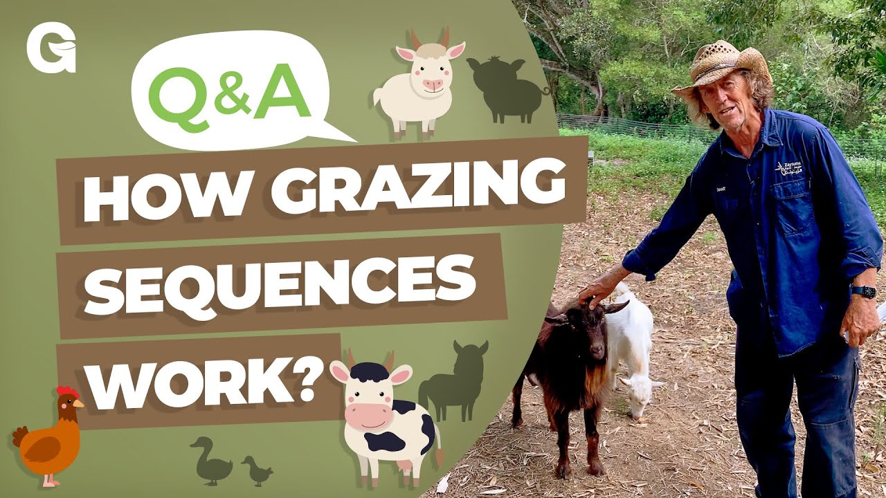 How Grazing Sequences—Goats To Horses To Cattle To Sheep—Work