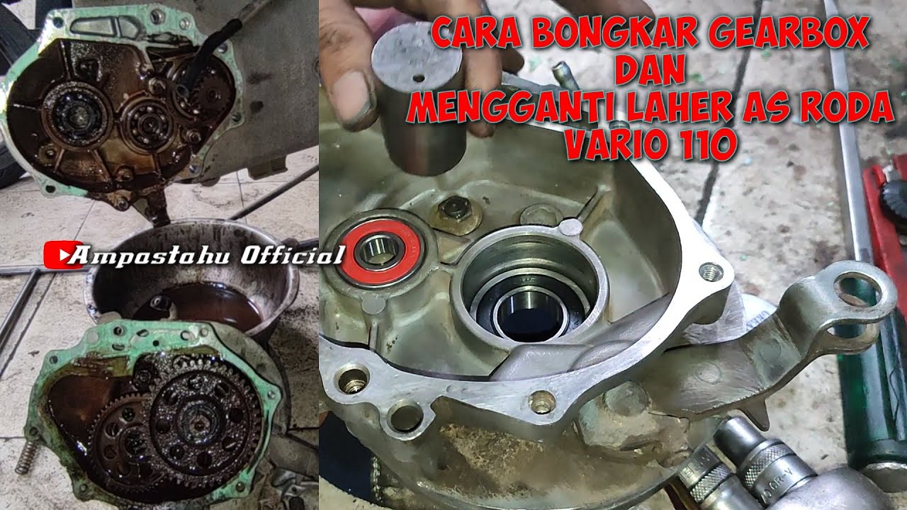 Cara Bongkar Gearbox Dan Ganti Bearing As Roda Belakang Vario 110
