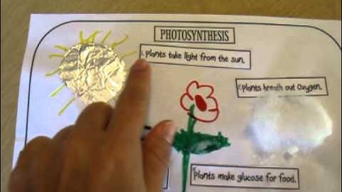 Classical Conversations, Cycle 1, Science, Week 12,  Photosynthesis
