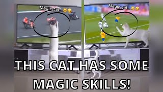 THIS CAT HAS SOME MAGIC SKILLS!