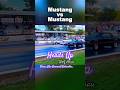 Mustang Vs Mustang