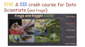 HTML & CSS Crash Course for Data Scientists