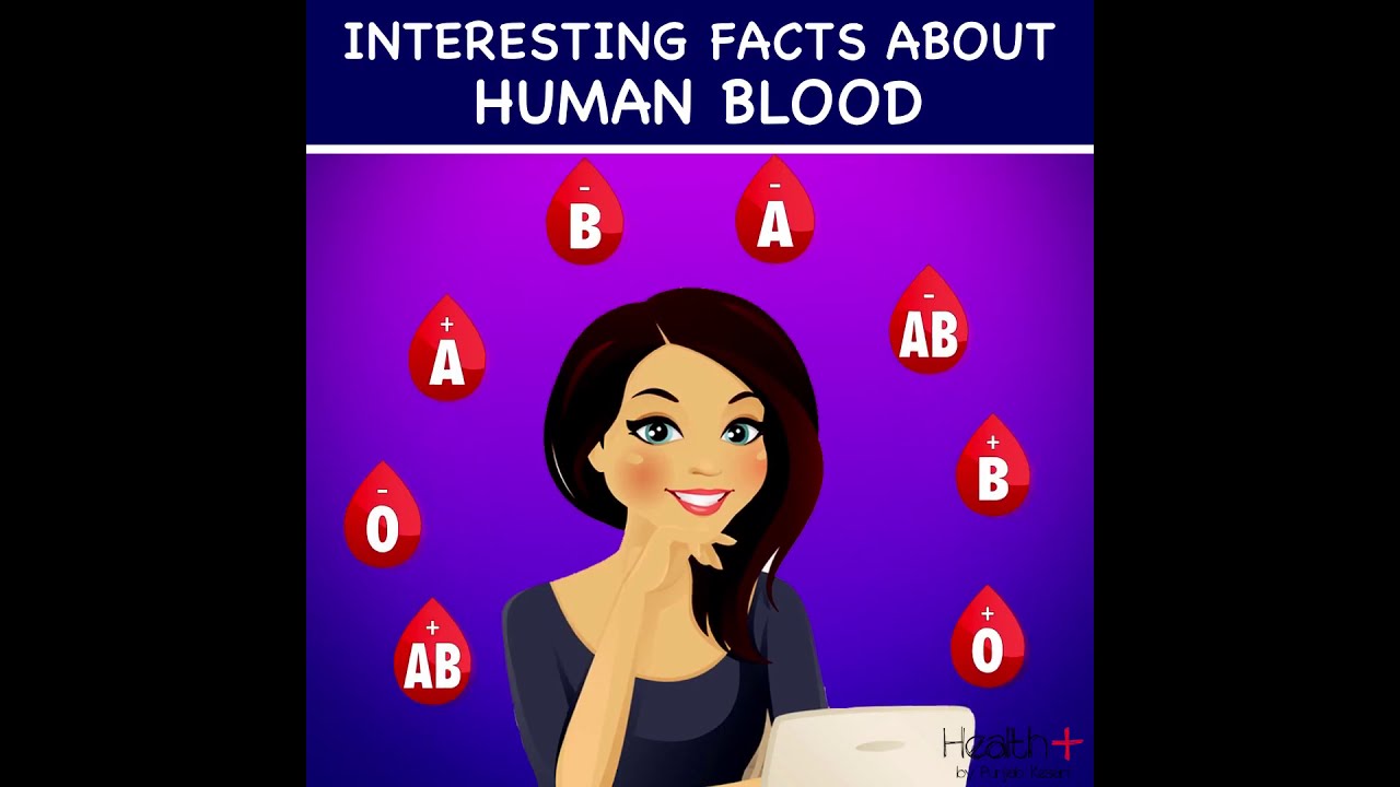 interesting-facts-about-human-blood-youtube