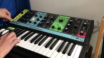 Grandmother Moog Synthesizer - Playing with the Arpeggiator!