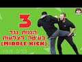 קרב מגע - 3 הגנות נגד בעיטה לצלעות KRAV MAGA TRAINING