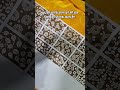 खुद की कला को सौ बार निहारना भी एक कला है!! @Snehapanchal2377