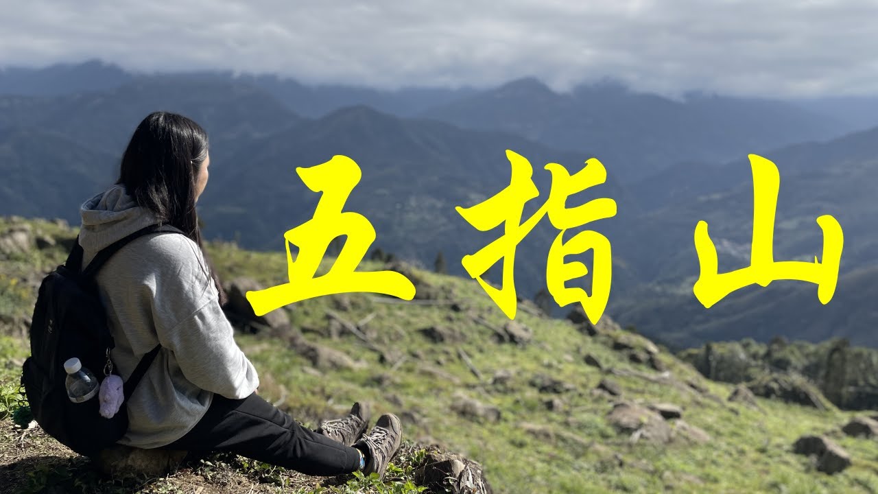 【小百岳|五指山】唯一真的像五根手指的五連峰 九上九下CP值超高郊山路線| DJI Mic Mini測試 - YouTube