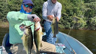 Backcountry Lake Largemouth Bass Guide Day With Emily