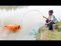 Fishing Video || Anyone will be impressed by the fishing talent of the boy  || Fish hunting