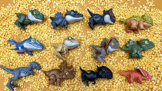 10 Pocket Dinosaurs | Dinosaur Names and Sounds In Box | T-Rex Triceratops 포켓 다이노 공룡 쥬라기월드