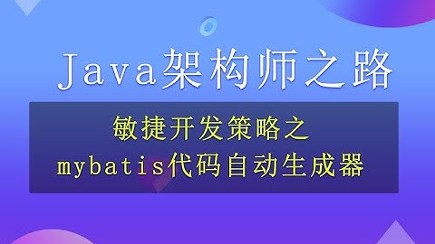 【Java进阶】mybatis之自动生成策略