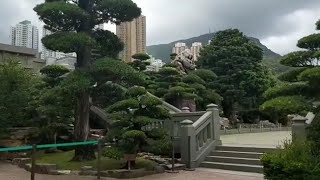 HONGKONG PARK YANG SANGAT INDAH SEKALI, LIBURAN DI TAMAN HONGKONG
