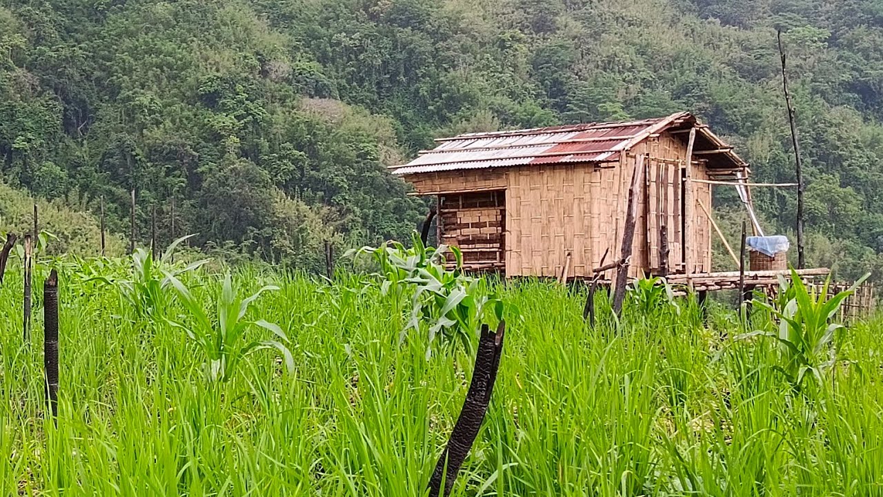 Hnuhhram thlawh a lo hun leh ta😇(Lungmawi khua thlawhhma hrang hrang fang kual pah ang aw)