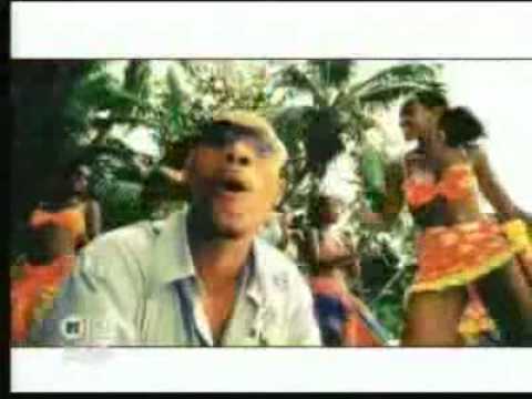 Butterfly Video