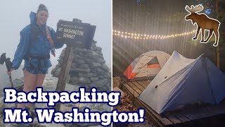 Overnight Backpacking Trip to Mt. Washington! | Northern Presidential Loop in NH |& moose sightings!