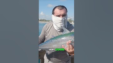 Mastering Multiple Languages: A Beginner