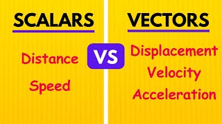 Scalars vs Vectors