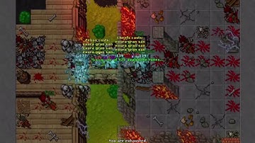 Tibia Bosses - Massacre - Wintera