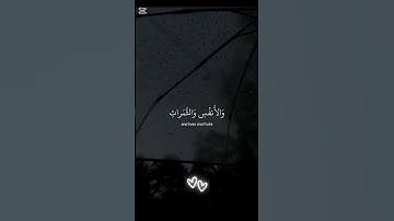 ولنبلونكم بشيء من الخوف | القارئ إسلام صبحي #تلاوه_هادئه