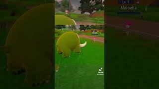 This Shiny Mamoswine Knows Relic Song..