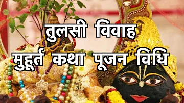 जानिए तुलसी विवाह का शुभ मुहूर्त,कथा और पूजन विधि | Shaligram Tulsi Vivah | Hindu Rituals