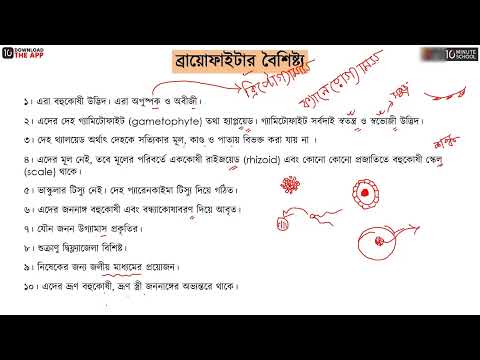 ভিডিও: টেরিডোফাইটা কি একটি ফাইলাম?