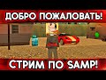 ПЯТНИЧНЫЙ СТРИМ ПО САМПУ ! Розыгрыши / ФАРМ / ЛОВЛЯ / Стрим на Тринити РП