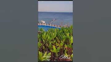 عمران محمد.                                 سورة : يس