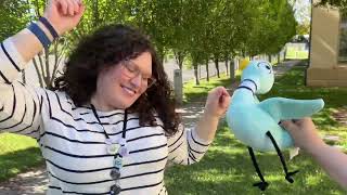 Summer Adventure Reading Challenge at the Santa Clara City Library