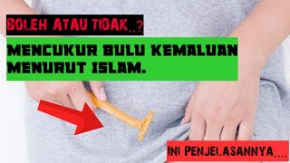 Boleh atau tidak Mencukur bulu kemaluan dalam Islam || berikut ini penjelasannya..!