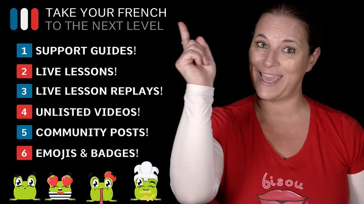 YouTube Sponsorship Perks - Learn French With Alexa