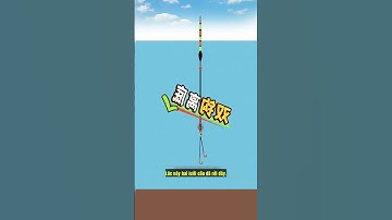 Cân 4 câu 2 #fishing #xuhuong #câucá #câuđài