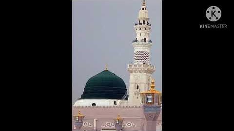 الشيخ عمرو السعيد عقبه ماتيسر من سوره االشعراء