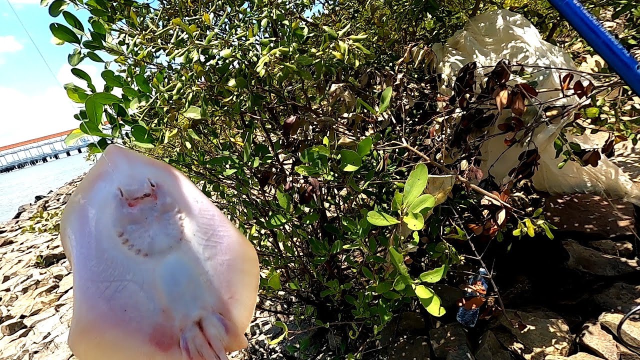 Menebing Di Pulau Indah Klang