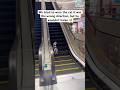Cat Used The Escalator The Wrong Way 