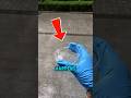 Putting Rain Under a Microscope and This Happened😱#trending #viral #shorts
