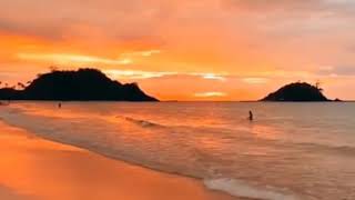 Lyrics Edit Için Arkaplan Videosu