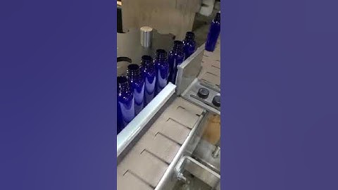 Duralov Conveyor Spacing Wheel with custom made bottle insert index
