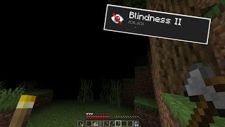 Minecraft Manhunt, but the Hunters have Blindness