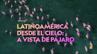 ESPECIAL MARAVILLAS DE LA NATURALEZA | NATIONAL GEOGRAPHIC ESPAÑA by National Geographic España 5,079 views 7 months ago 31 seconds