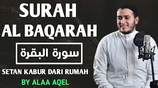 SURAH AL-BAQARAH - Setan kabur Dari Rumah - Penning Hati dan Pikiran | BY Alaa Aql