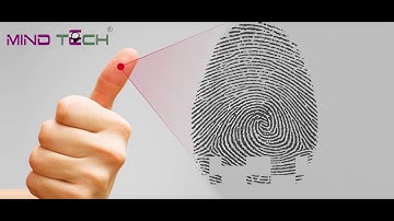 DMIT Software II DMIT Concept II DMIT II DMIT Report II No. 1 DMIT Consulting Company